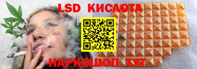 молекула духа Камышлов