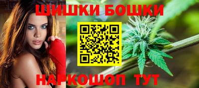 скорость Кингисепп