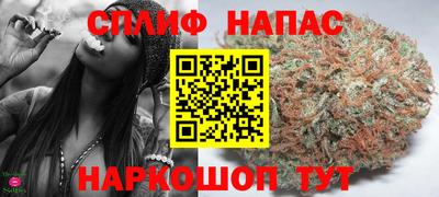 молекула духа Камышлов