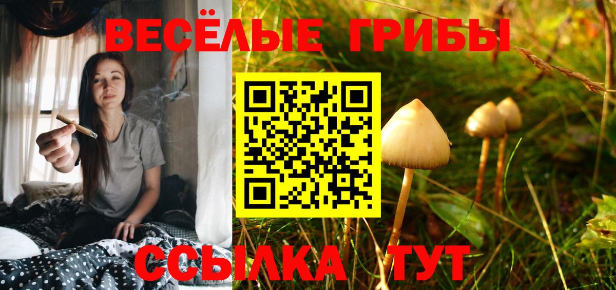 Псилоцибиновые грибы MAGIC MUSHROOMS  Галлюциногенные грибы Cubensis  Вход с VPN  купить закладку  Валуйки 