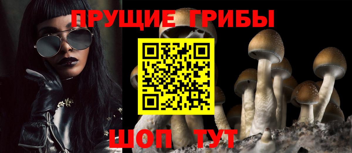 Псилоцибиновые грибы Psilocybine cubensis Валуйки